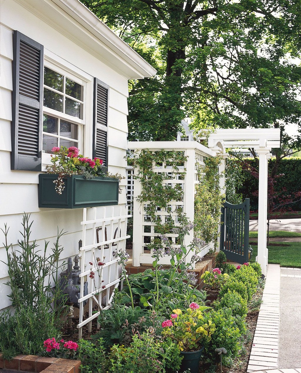 Picture of: Beautiful Trellis Ideas to Turn Your Yard into a Private Escape