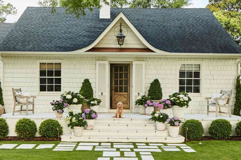 Picture of: Boost Curb Appeal With Potted Hydrangeas