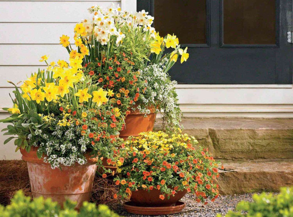 Picture of: Front Door Container Garden Ideas For An Eye-Catching Entryway