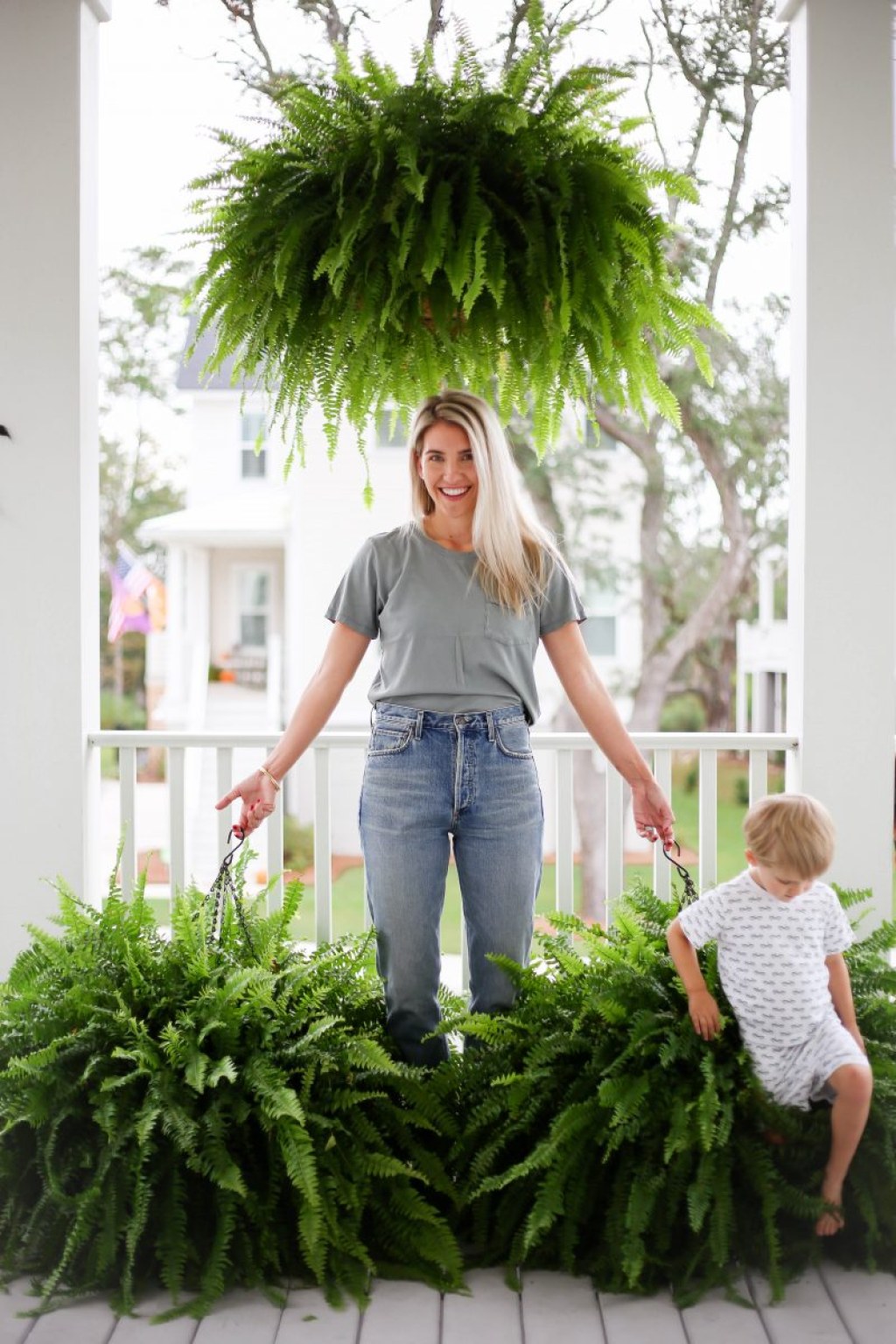 Picture of: how to get big healthy ferns – Megan Stokes