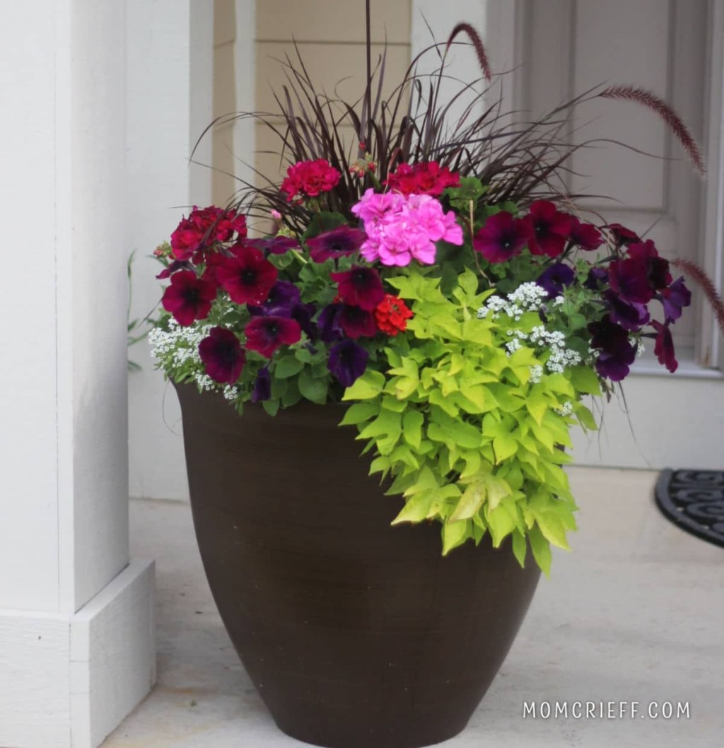 Picture of: How to plant flower pots – Momcrieff