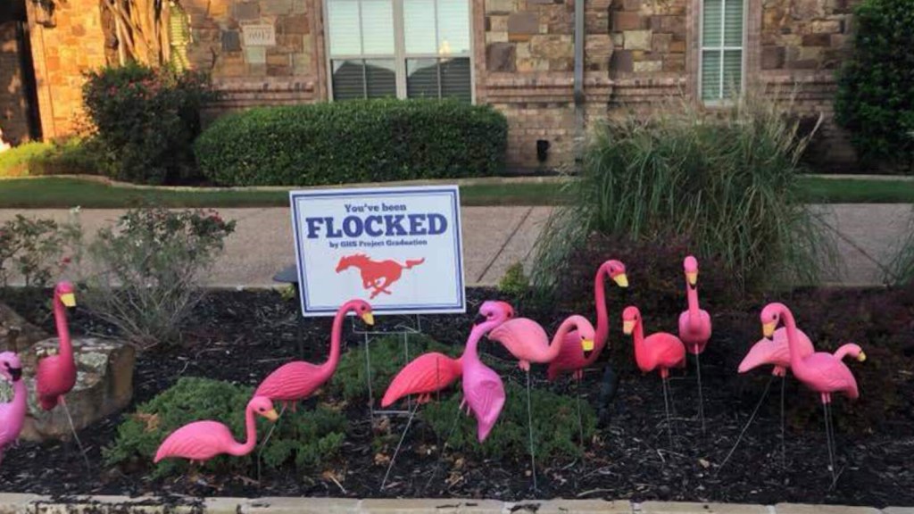 Picture of: The history of Pink Flamingos – secret symbol? – StressLess